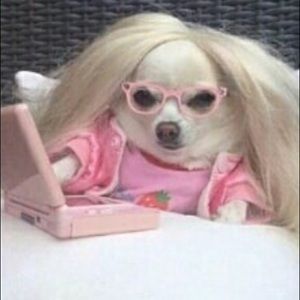 Meet your Posher, Cassidy